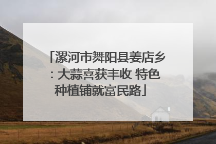 漯河市舞阳县姜店乡：大蒜喜获丰收 特色种植铺就富民路