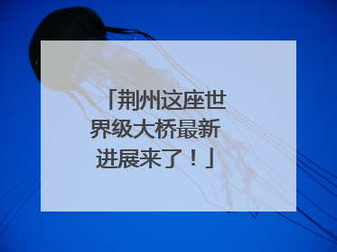 荆州这座世界级大桥最新进展来了！
