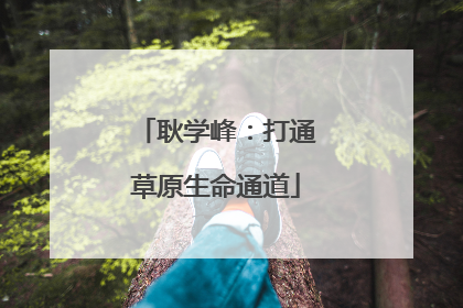 耿学峰：打通草原生命通道
