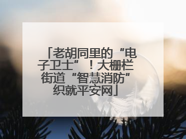 老胡同里的“电子卫士”！大栅栏街道“智慧消防”织就平安网