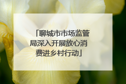 聊城市市场监管局深入开展放心消费进乡村行动