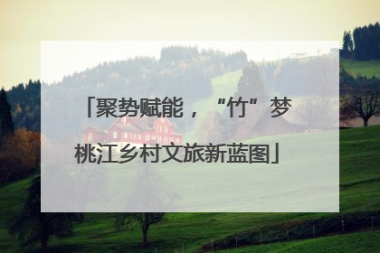 聚势赋能，“竹”梦桃江乡村文旅新蓝图