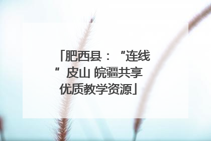 肥西县：“连线”皮山 皖疆共享优质教学资源