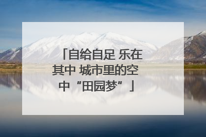 自给自足 乐在其中 城市里的空中“田园梦”