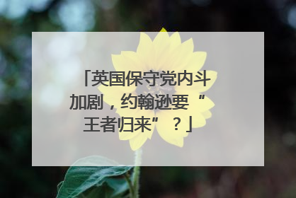 英国保守党内斗加剧，约翰逊要“王者归来”？