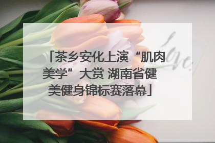 茶乡安化上演“肌肉美学”大赏 湖南省健美健身锦标赛落幕