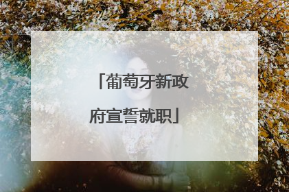 葡萄牙新政府宣誓就职