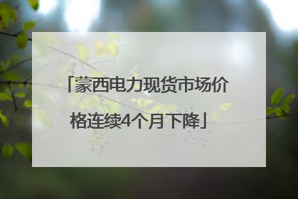 蒙西电力现货市场价格连续4个月下降