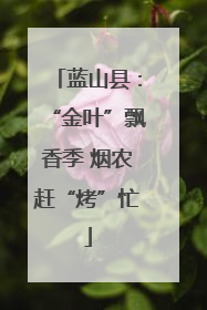蓝山县：“金叶”飘香季 烟农赶“烤”忙