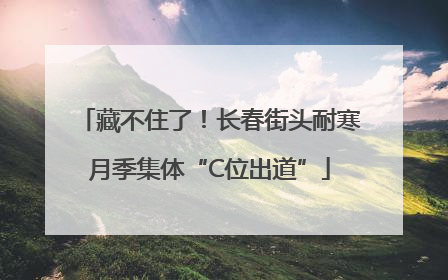 藏不住了！长春街头耐寒月季集体“C位出道”