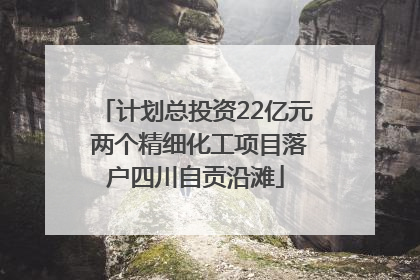 计划总投资22亿元 两个精细化工项目落户四川自贡沿滩
