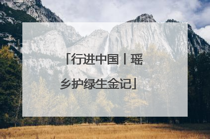 行进中国丨瑶乡护绿生金记