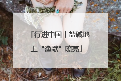 行进中国丨盐碱地上“渔歌”嘹亮