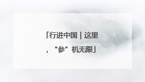 行进中国｜这里，“参”机无限