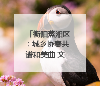 衡阳蒸湘区：城乡协奏共谱和美曲 文明新风劲拂蒸湘地