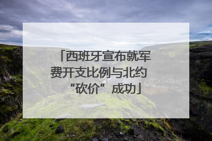 西班牙宣布就军费开支比例与北约“砍价”成功