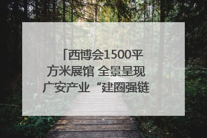 西博会1500平方米展馆 全景呈现广安产业“建圈强链”｜西博视界