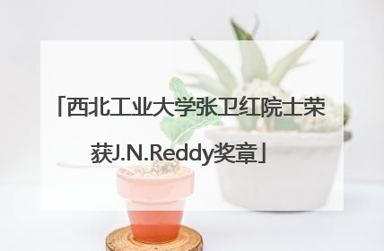 西北工业大学张卫红院士荣获J.N.Reddy奖章