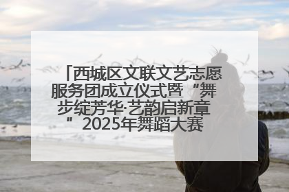 西城区文联文艺志愿服务团成立仪式暨“舞步绽芳华·艺韵启新章”2025年舞蹈大赛展演圆满举办