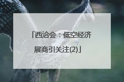 西洽会：低空经济展商引关注(2)