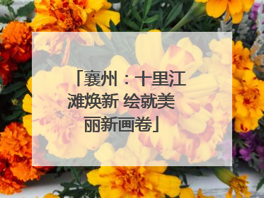 襄州：十里江滩焕新 绘就美丽新画卷