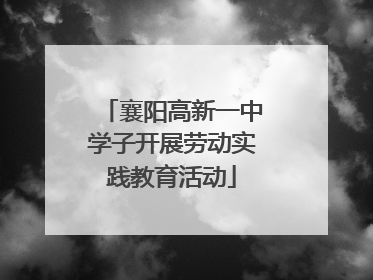 襄阳高新一中学子开展劳动实践教育活动