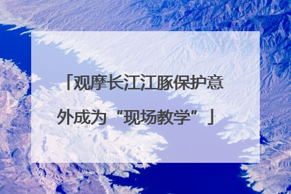 观摩长江江豚保护意外成为“现场教学”