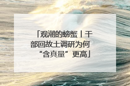 观潮的螃蟹丨干部回故土调研为何“含真量”更高