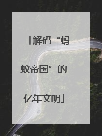 解码“蚂蚁帝国”的亿年文明