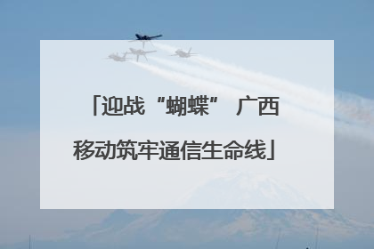 迎战“蝴蝶” 广西移动筑牢通信生命线