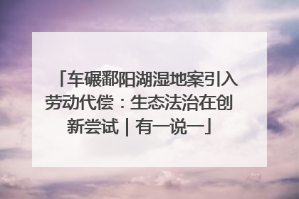 车碾鄱阳湖湿地案引入劳动代偿：生态法治在创新尝试｜有一说一
