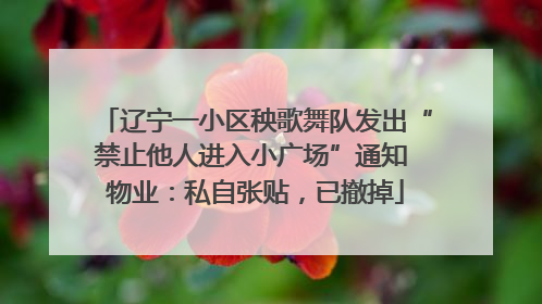 辽宁一小区秧歌舞队发出“禁止他人进入小广场”通知 物业：私自张贴，已撤掉