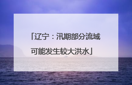 辽宁：汛期部分流域可能发生较大洪水