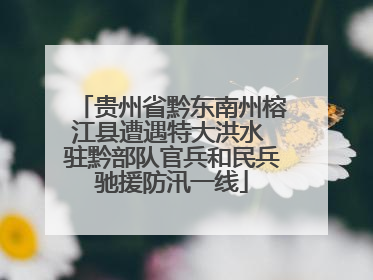 贵州省黔东南州榕江县遭遇特大洪水 驻黔部队官兵和民兵驰援防汛一线