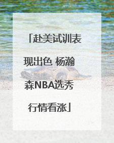 赴美试训表现出色 杨瀚森NBA选秀行情看涨