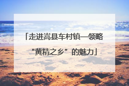 走进嵩县车村镇—领略“黄精之乡”的魅力