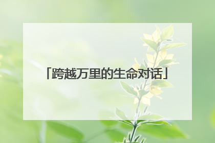 跨越万里的生命对话