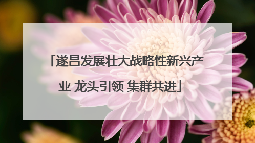 遂昌发展壮大战略性新兴产业 龙头引领 集群共进