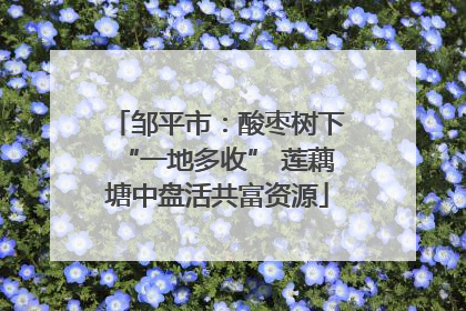 邹平市：酸枣树下“一地多收” 莲藕塘中盘活共富资源