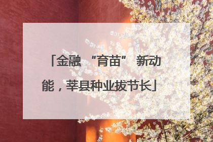 金融 “育苗” 新动能，莘县种业拔节长