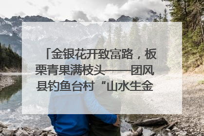金银花开致富路，板栗青果满枝头——团风县钓鱼台村“山水生金”谱写共富新篇章