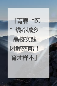青春“医”线牵城乡 高校实践团解密宜昌育才样本