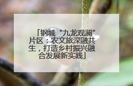 钢城“九龙观澜”片区：农文旅深融共生，打造乡村振兴融合发展新实践