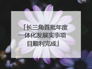 长三角首批年度一体化发展实事项目顺利完成