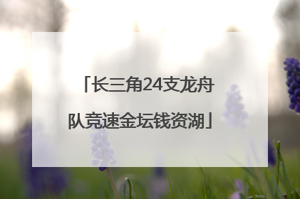 长三角24支龙舟队竞速金坛钱资湖