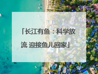 长江有鱼：科学放流 迎接鱼儿回家