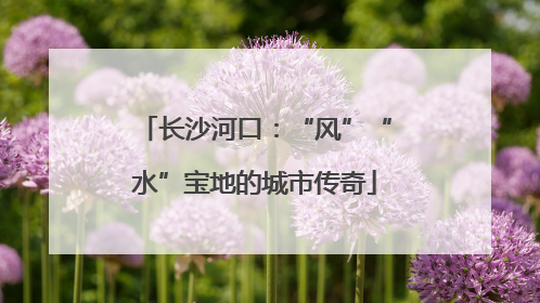 长沙河口：“风”“水”宝地的城市传奇