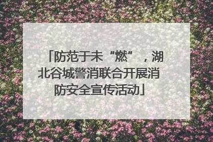 防范于未“燃”，湖北谷城警消联合开展消防安全宣传活动