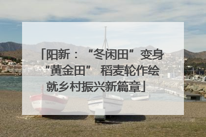 阳新：“冬闲田”变身“黄金田” 稻麦轮作绘就乡村振兴新篇章