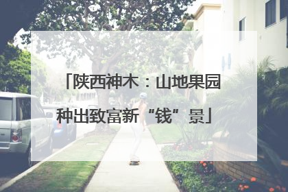 陕西神木：山地果园种出致富新“钱”景